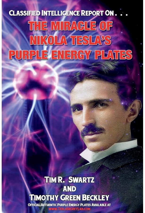 Amazon.com: EIP Original Positive Energy Tesla Purple Plate Large